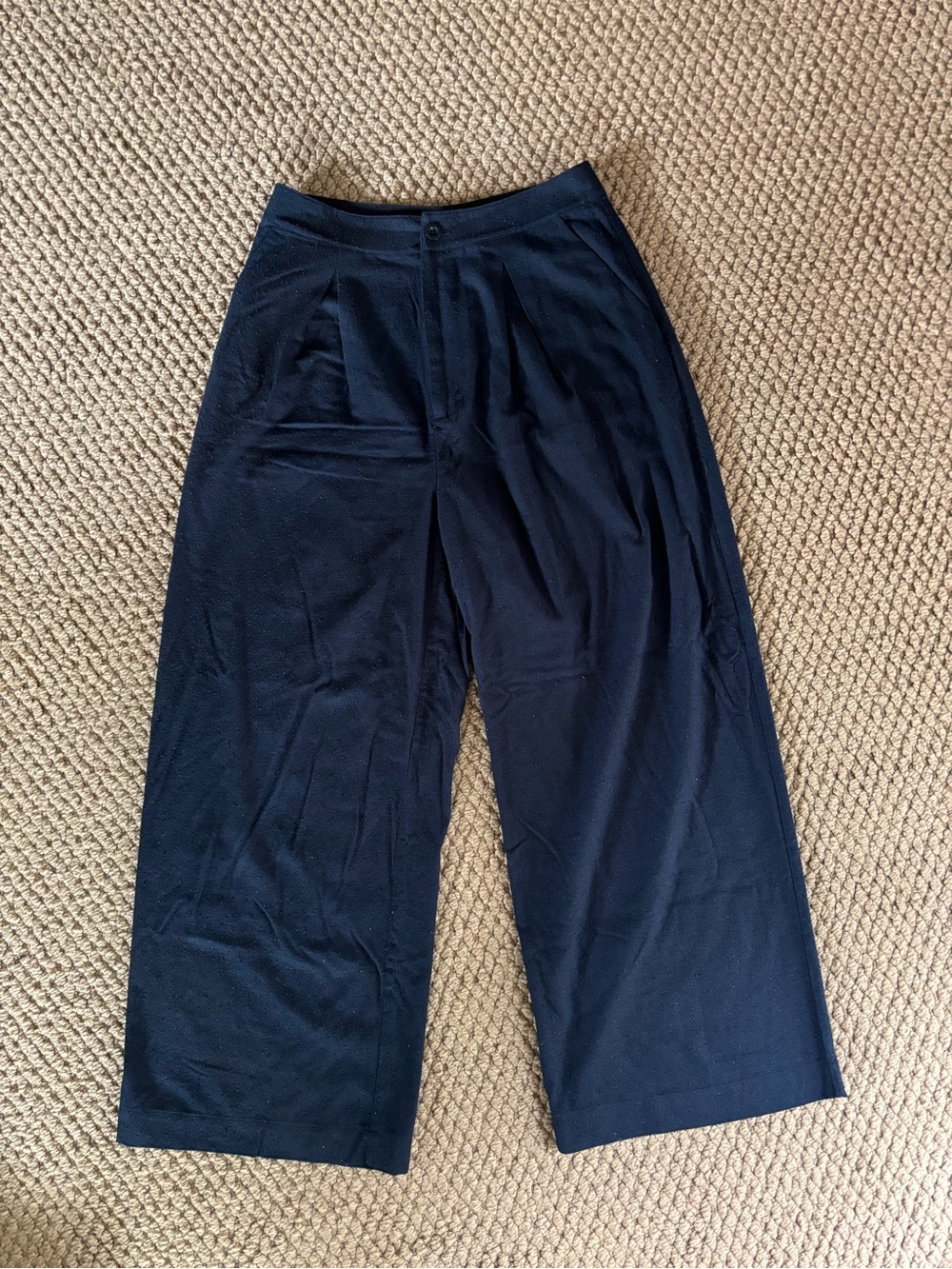 Jenni Kayne Navy Raw Silk Wide-Leg Pants Size 6